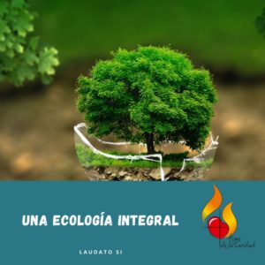 4. Una ecologia integral